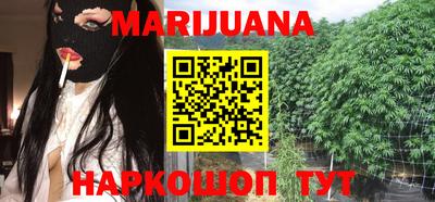 тгк Канаш