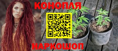 наркотики Камышлов