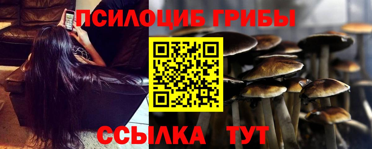 Псилоцибиновые грибы прущие грибы Каменка